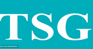 Промышленная группа Single Star Golpayegan