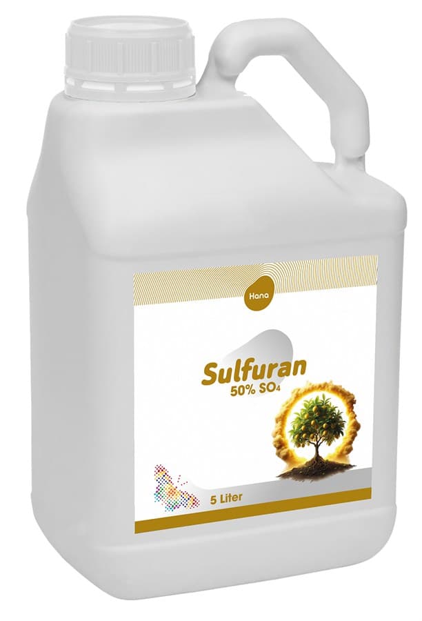 Продукт компании